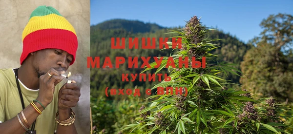 мдпв Рославль