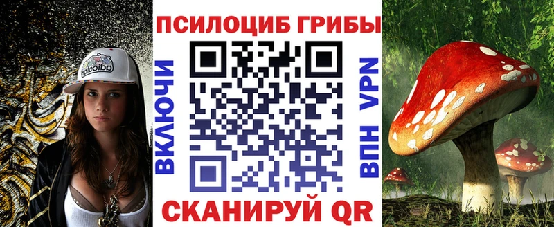 ОМГ ОМГ онион  Сковородино  Галлюциногенные грибы Psilocybine cubensis  где найти наркотики 